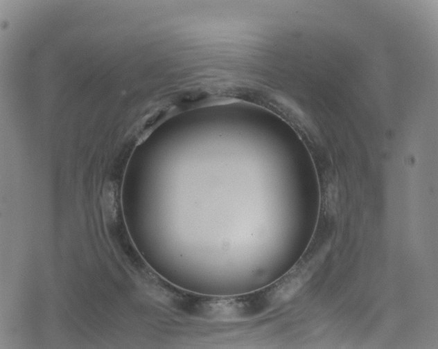 X0000072500121200607211259