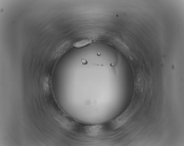 X0000072500122200607211259