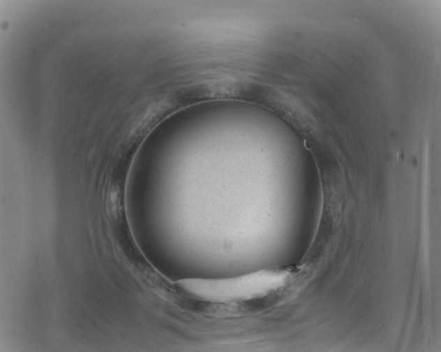 X0000072500123200607211259