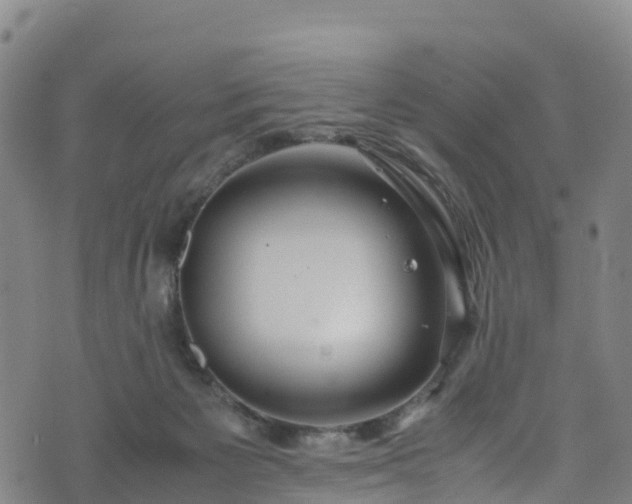 X0000072500125200607211259