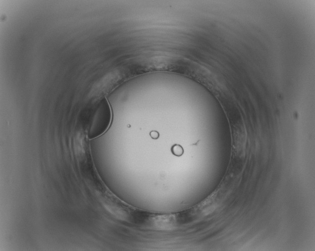 X0000072500126200607211259