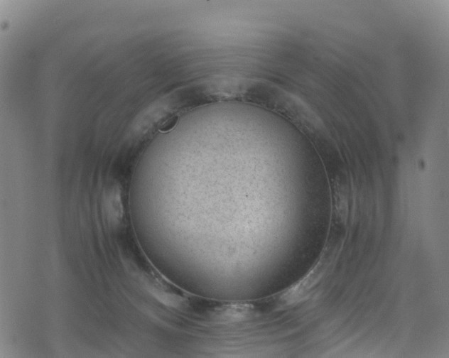 X0000072500128200607211259