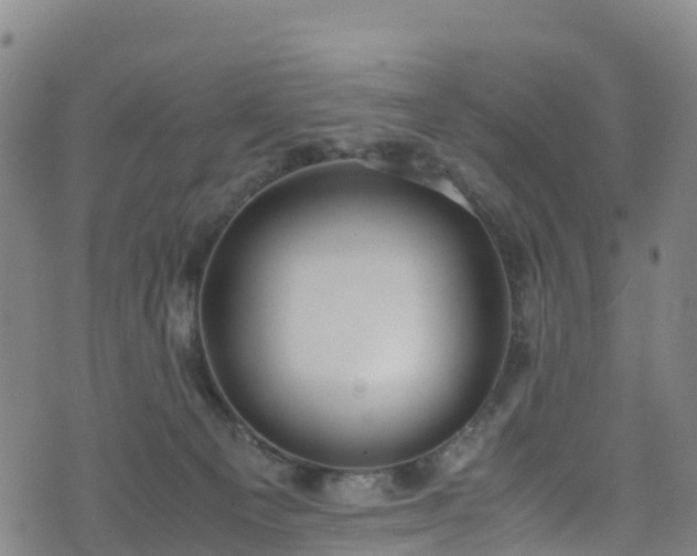 X0000072500129200607211259