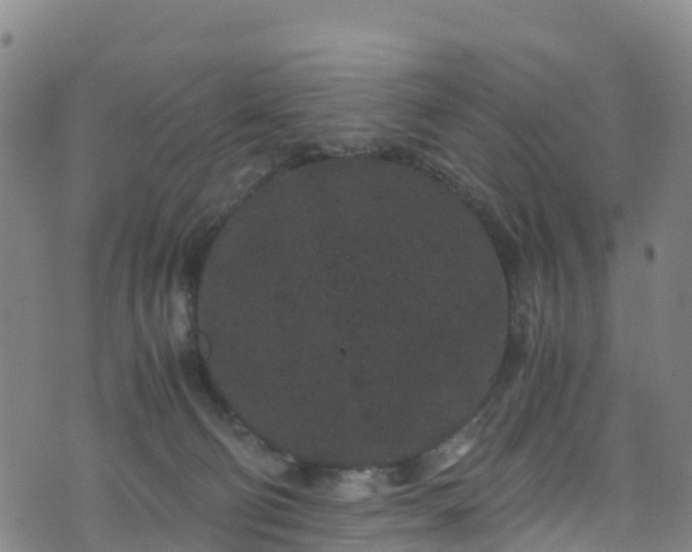 X0000072500130200607211259