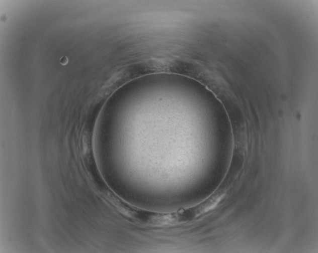 X0000072500131200607211259