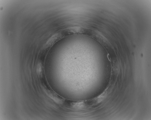 X0000072500132200607211259