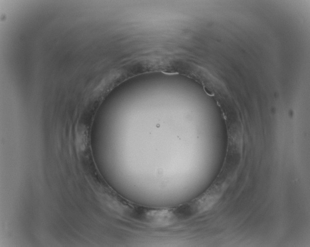 X0000072500133200607211259