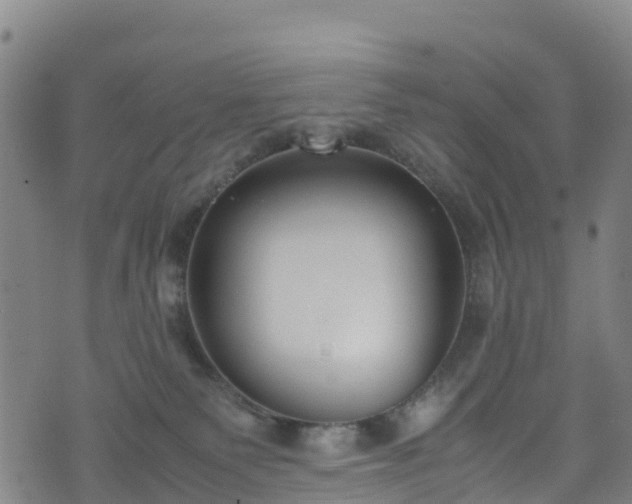 X0000072500135200607211259