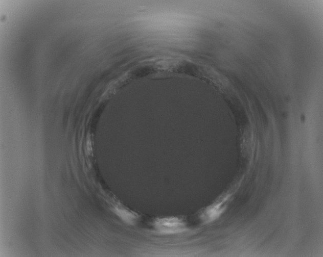 X0000072500137200607211259