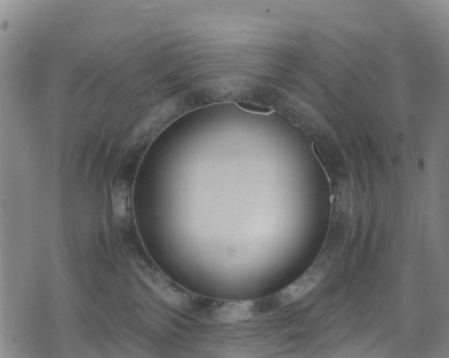 X0000072500138200607211259