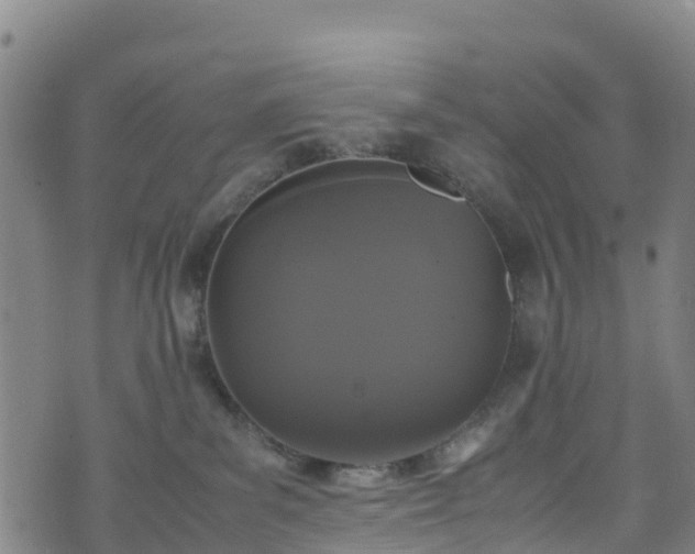 X0000072500139200607211259