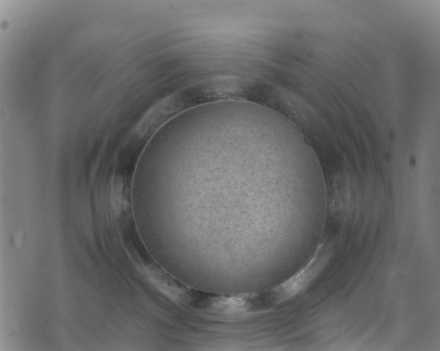 X0000072500140200607211259