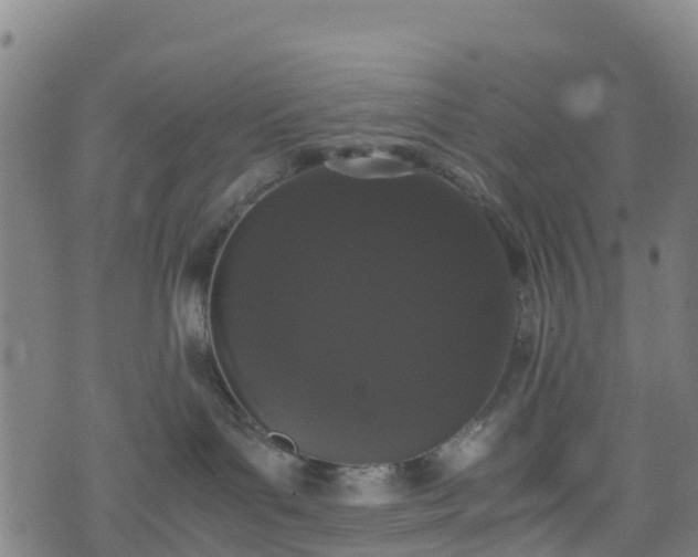 X0000072500143200607211259