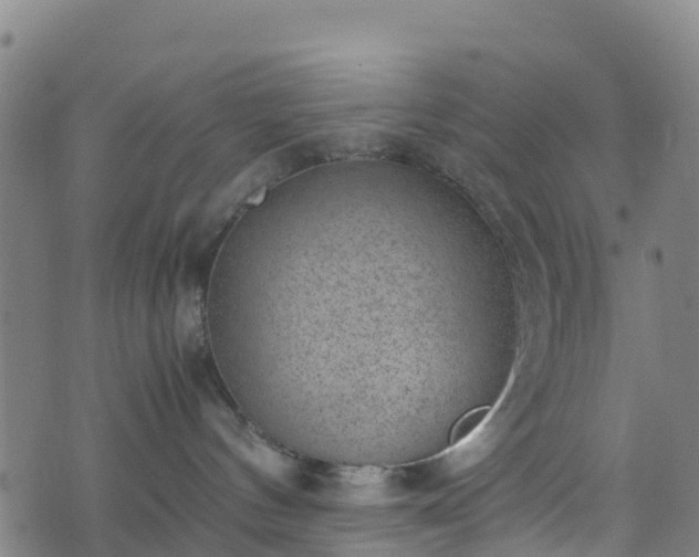 X0000072500144200607211259