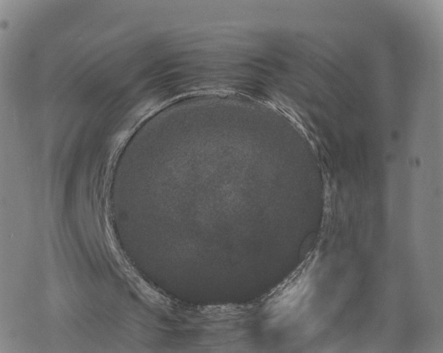 X0000072500145200607211258