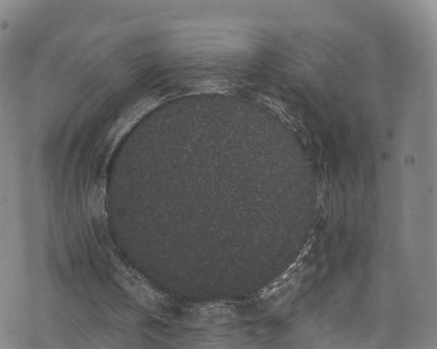 X0000072500146200607211258