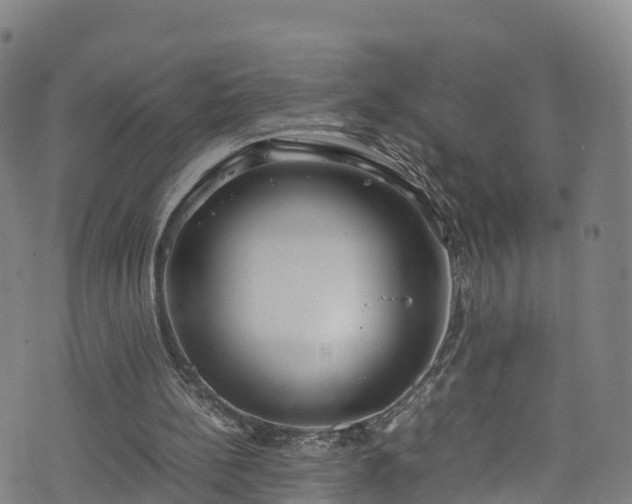 X0000072500148200607211258