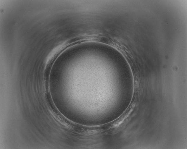 X0000072500149200607211258