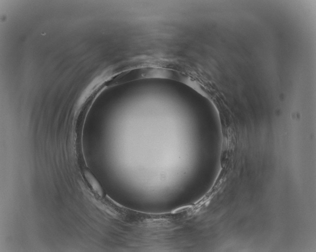 X0000072500150200607211258