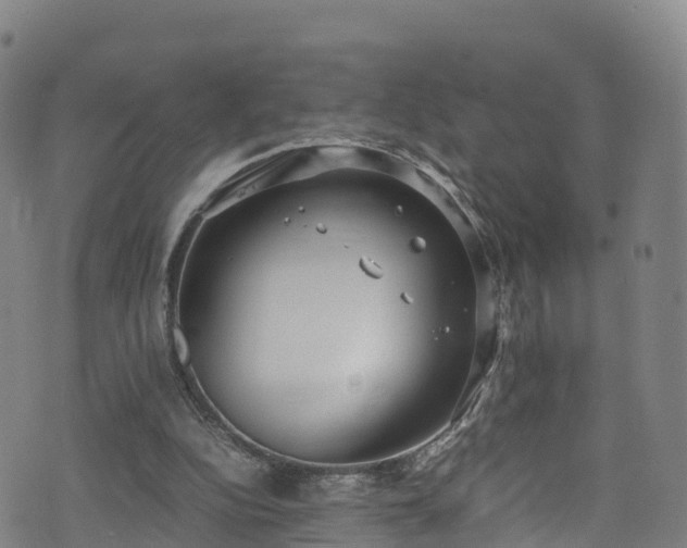 X0000072500152200607211258