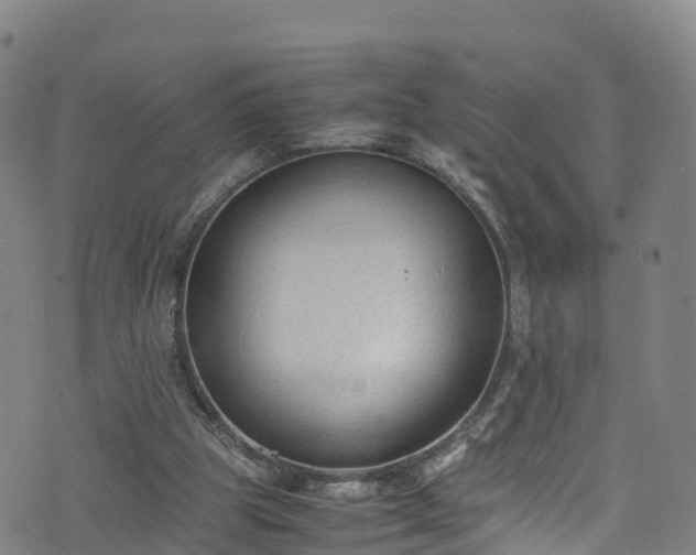 X0000072500153200607211258