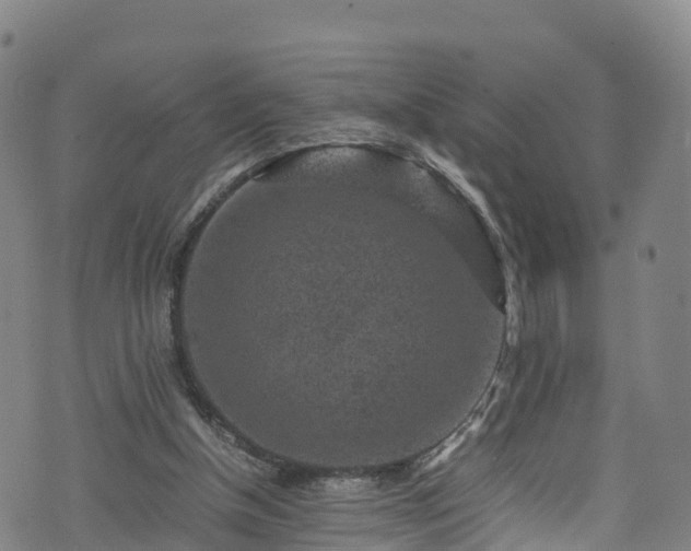 X0000072500154200607211258