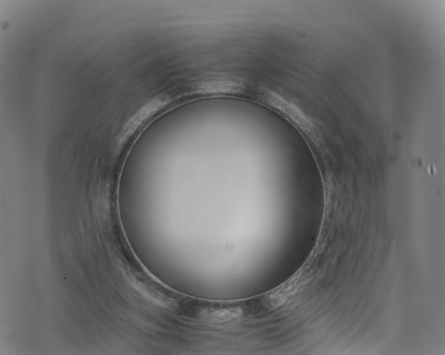 X0000072500155200607211258