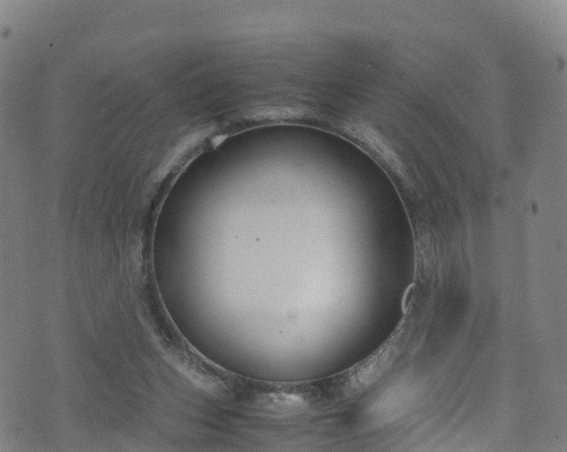 X0000072500159200607211258