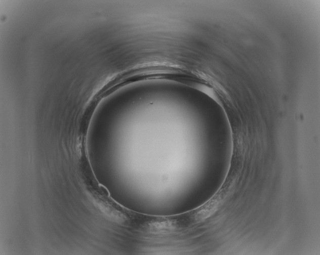 X0000072500160200607211258