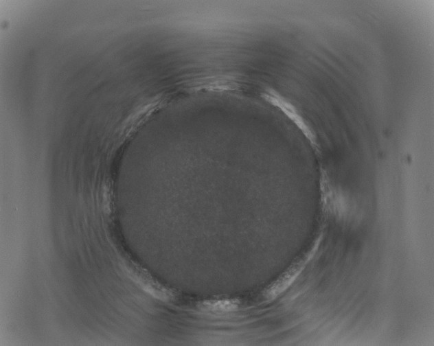 X0000072500161200607211258