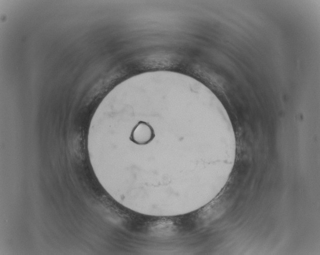 X0000072500162200607211258