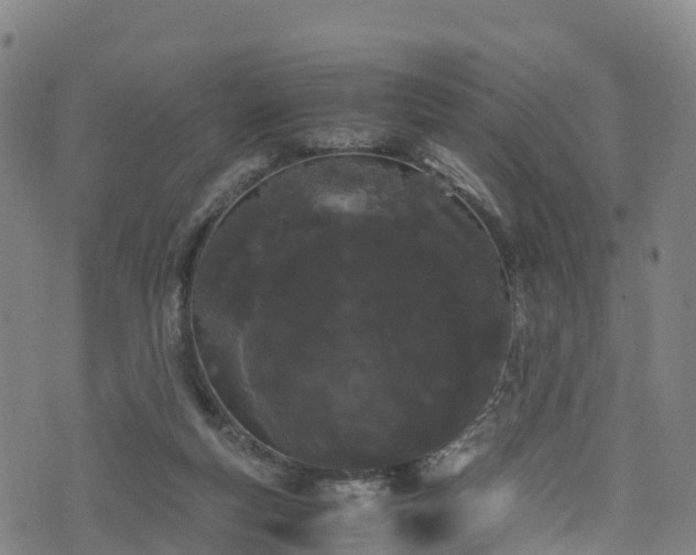 X0000072500163200607211258