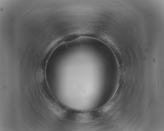 X0000072500164200607211258