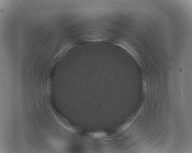 X0000072500165200607211258