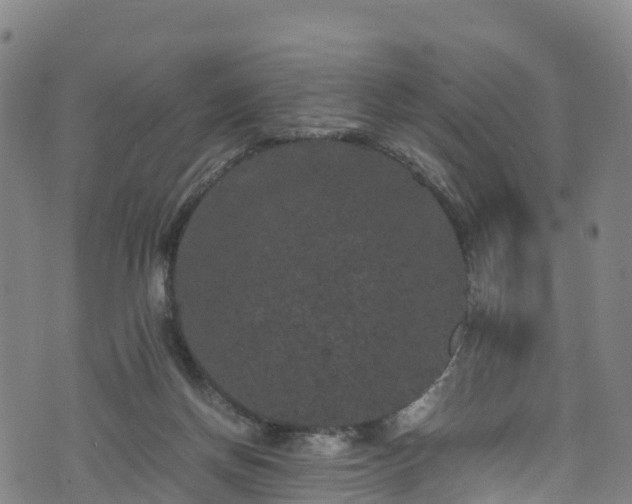 X0000072500166200607211258