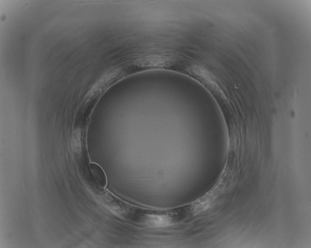 X0000072500167200607211258