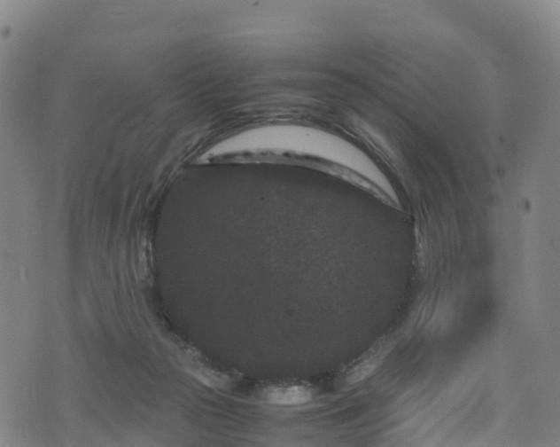 X0000072500169200607211258