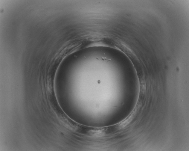 X0000072500170200607211258