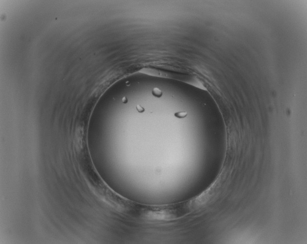 X0000072500171200607211258