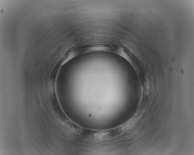 X0000072500172200607211258