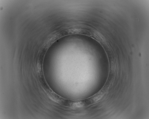 X0000072500173200607211258