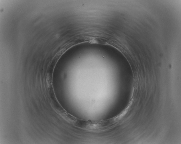 X0000072500174200607211258