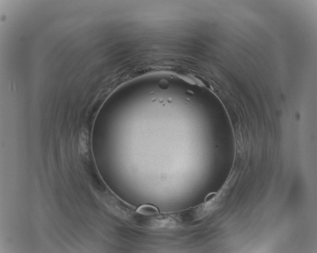 X0000072500175200607211258