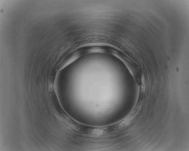 X0000072500176200607211258