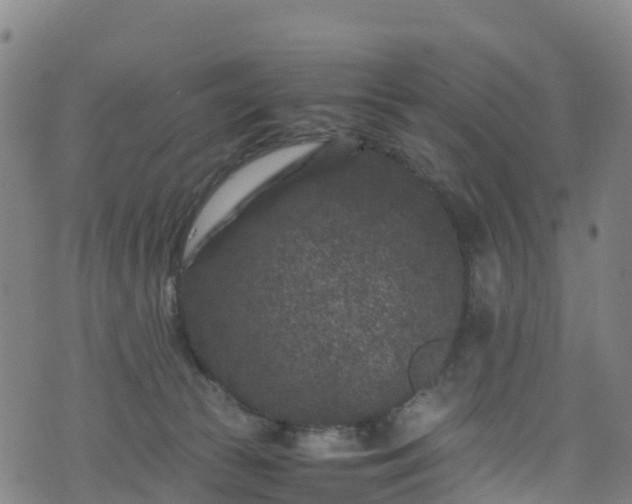 X0000072500177200607211258