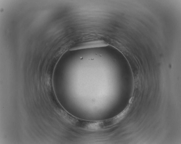 X0000072500178200607211259