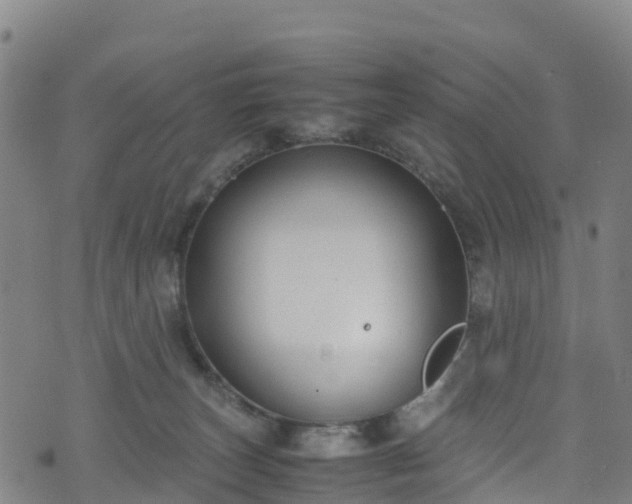 X0000072500179200607211259