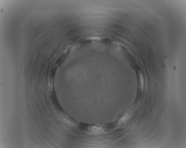 X0000072500180200607211259