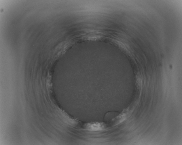 X0000072500181200607211259