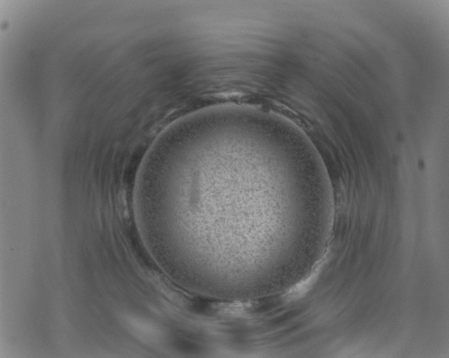 X0000072500182200607211259